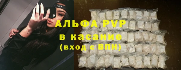 гашик Алексеевка