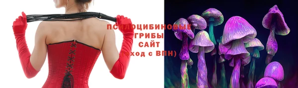 гашик Алексеевка