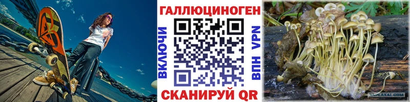 Галлюциногенные грибы MAGIC MUSHROOMS  купить  цена  Канаш 